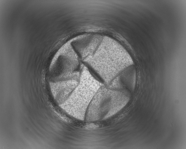 X0000080150257200701051547