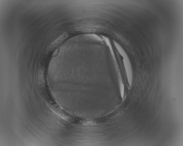 X0000080150258200701051547
