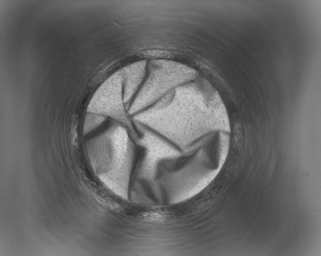 X0000080150259200701051547