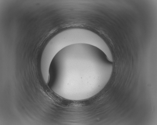 X0000080150260200701051547