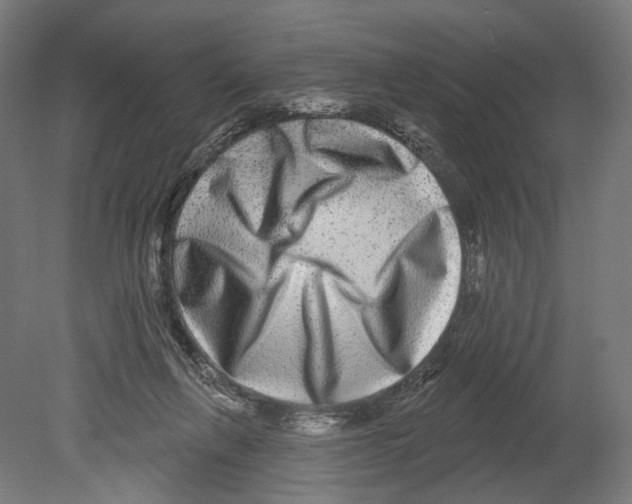 X0000080150263200701051547