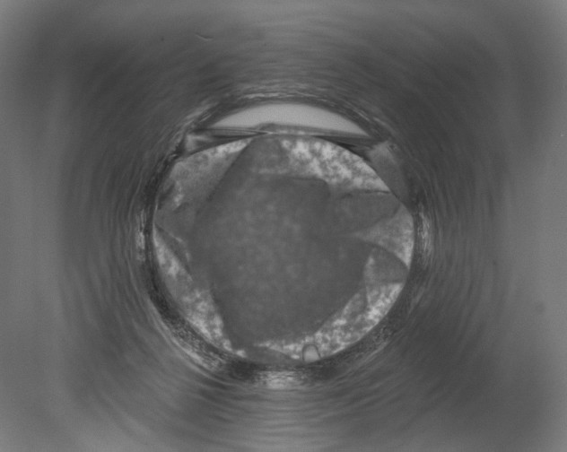 X0000080150264200701051547