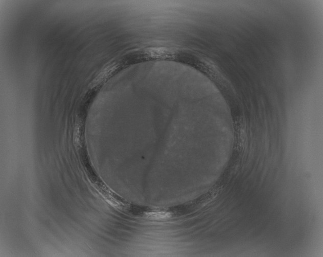 X0000080150266200701051547