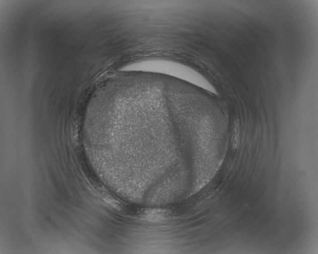 X0000080150268200701051547