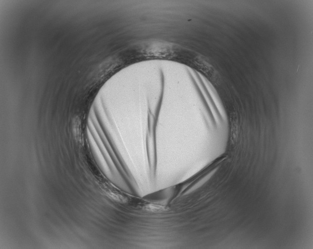 X0000080150270200701051547