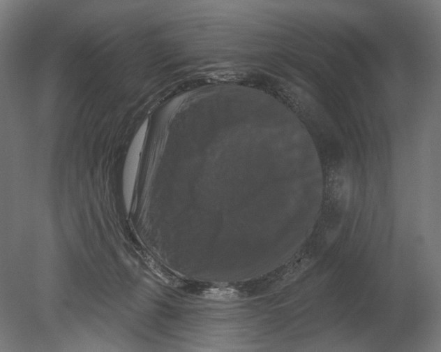 X0000080150271200701051547