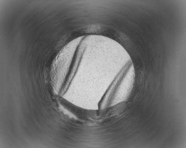 X0000080150273200701051547