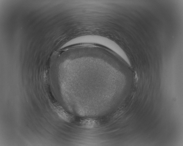 X0000080150276200701051547