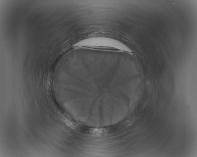 X0000080150277200701051547