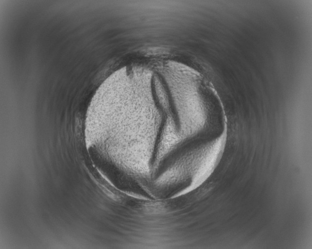 X0000080150281200701051547