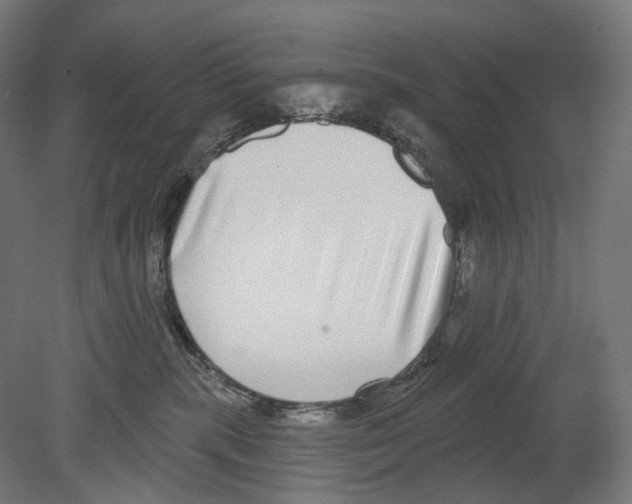 X0000080150283200701051547