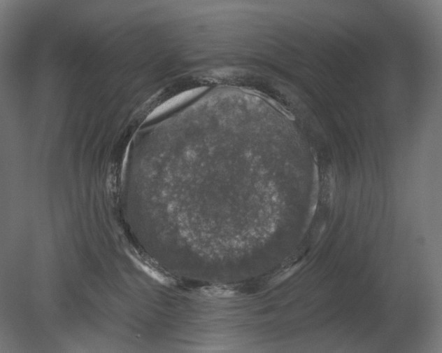 X0000080150284200701051547