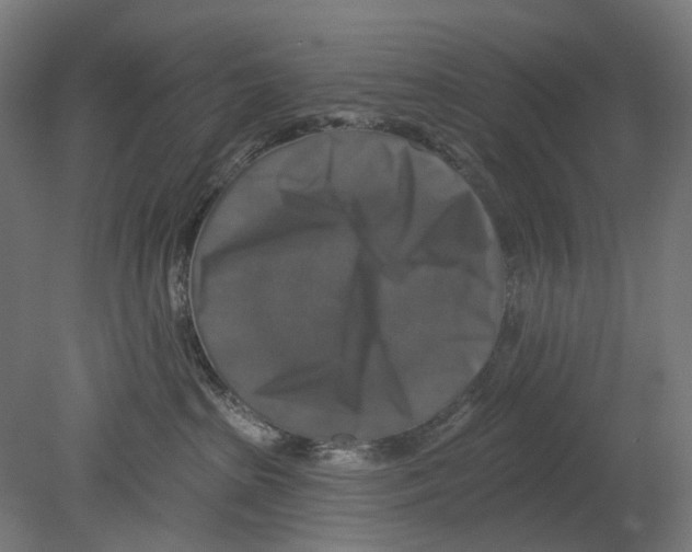 X0000080150285200701051547