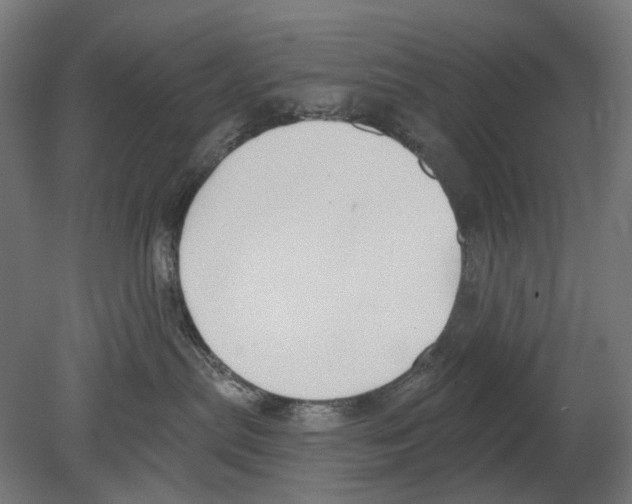 X0000080150287200701051547
