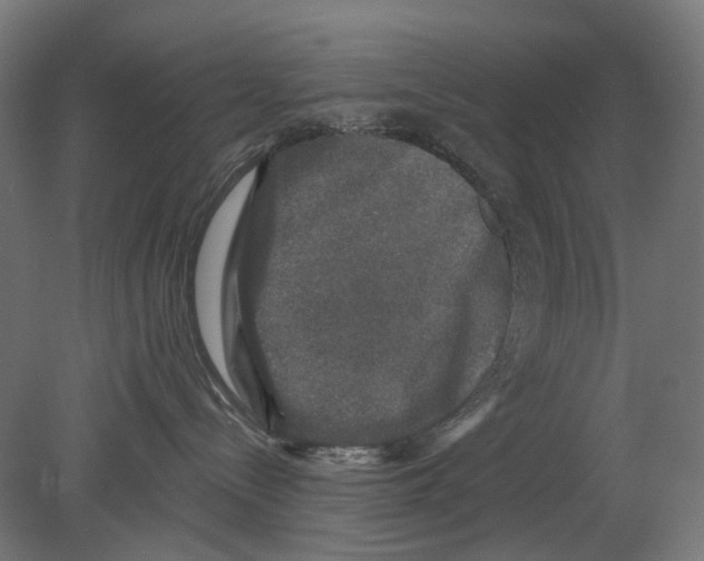 X0000080150288200701051547
