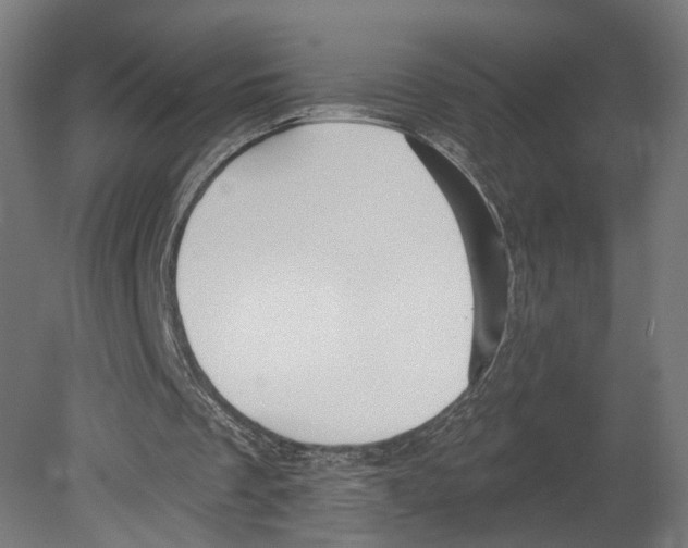 X0000080150289200701051546