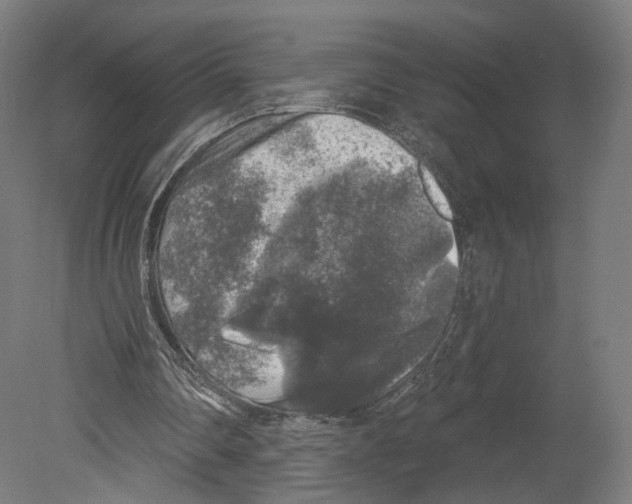 X0000080150290200701051546