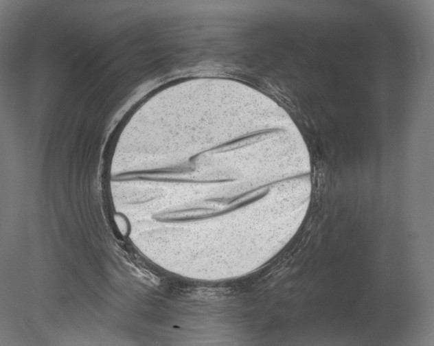 X0000080150292200701051546
