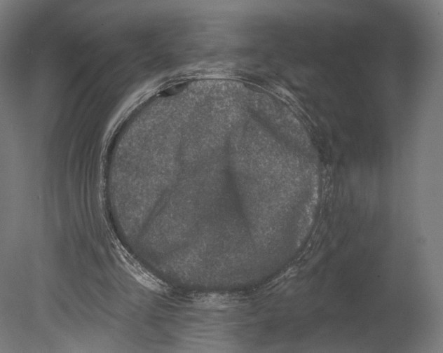 X0000080150293200701051546