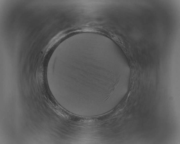 X0000080150295200701051546
