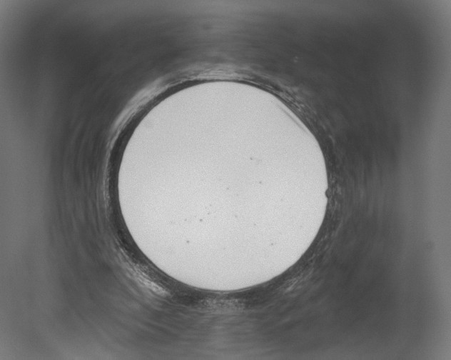 X0000080150296200701051546