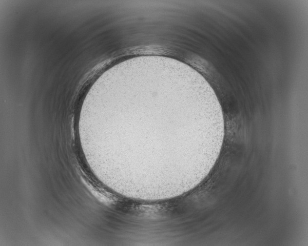 X0000080150302200701051546