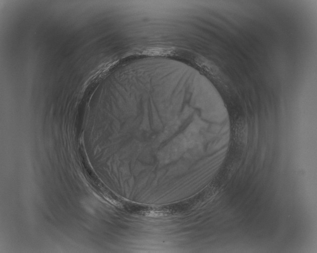 X0000080150303200701051546