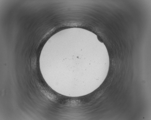 X0000080150304200701051546