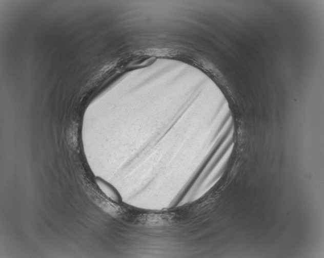 X0000080150305200701051546