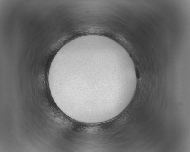 X0000080150306200701051546