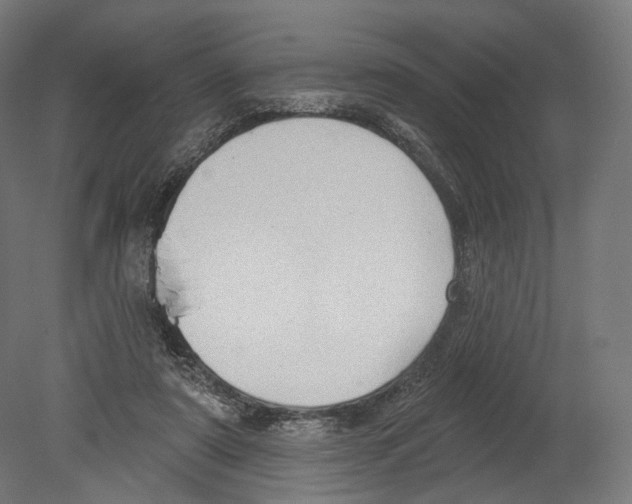 X0000080150307200701051546