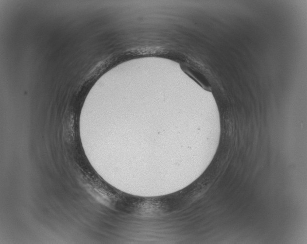 X0000080150308200701051546