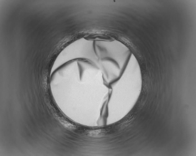 X0000080150309200701051546