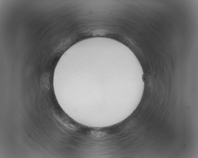 X0000080150311200701051546