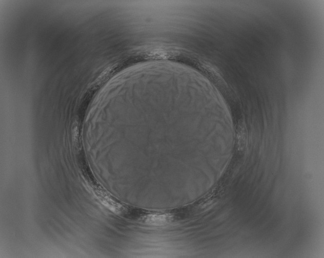 X0000080150314200701051546