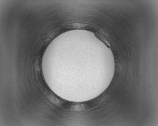 X0000080150317200701051546
