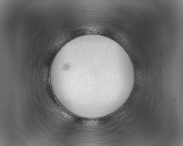 X0000080150318200701051546