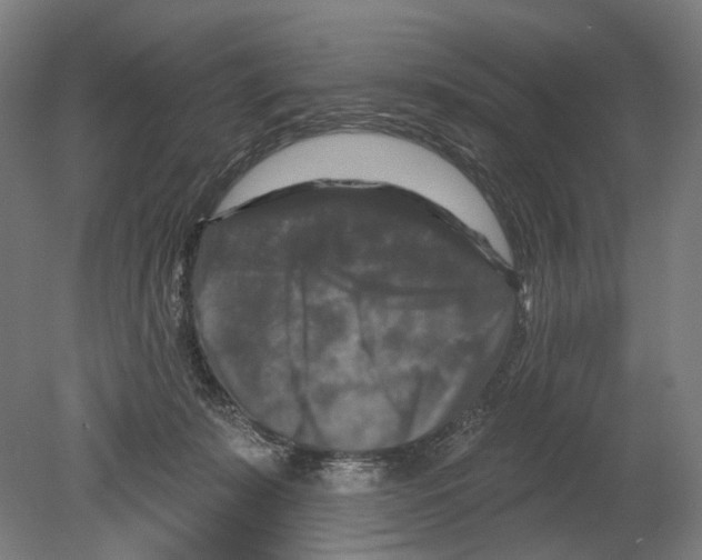 X0000080150319200701051546
