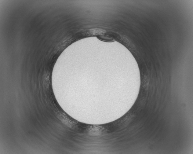 X0000080150321200701051546
