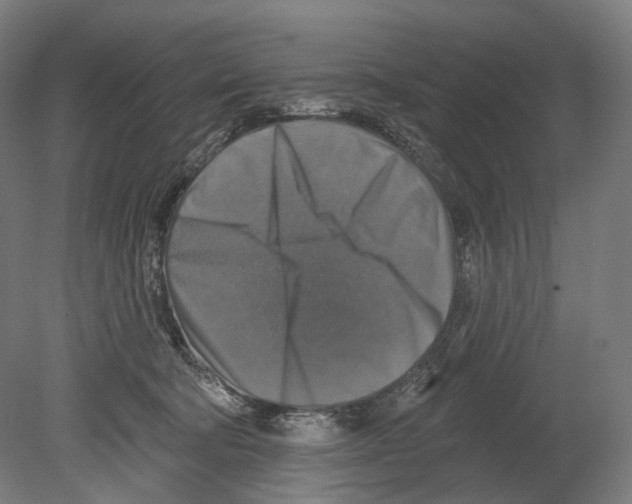 X0000080150322200701051546