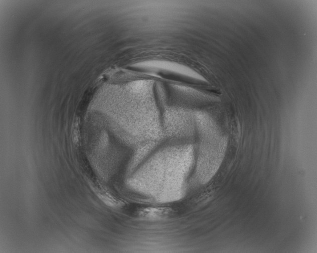 X0000080150323200701051546
