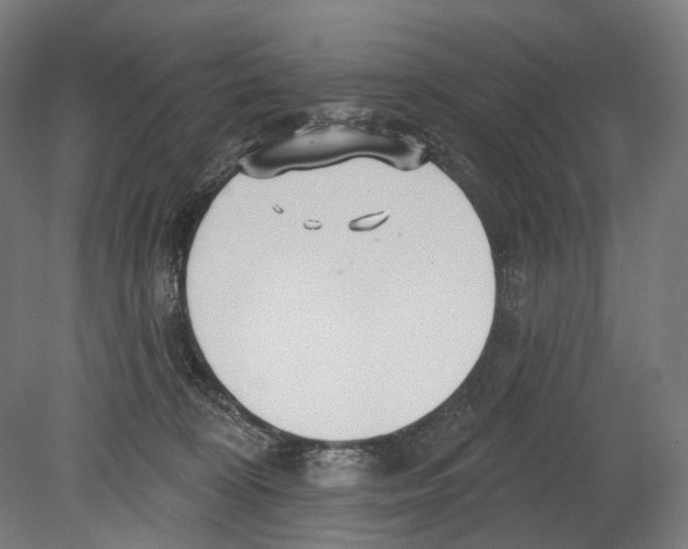 X0000080150324200701051546