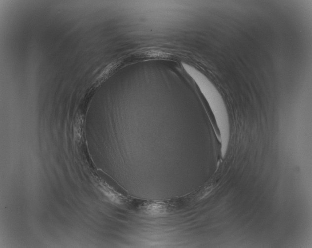 X0000080150325200701051546