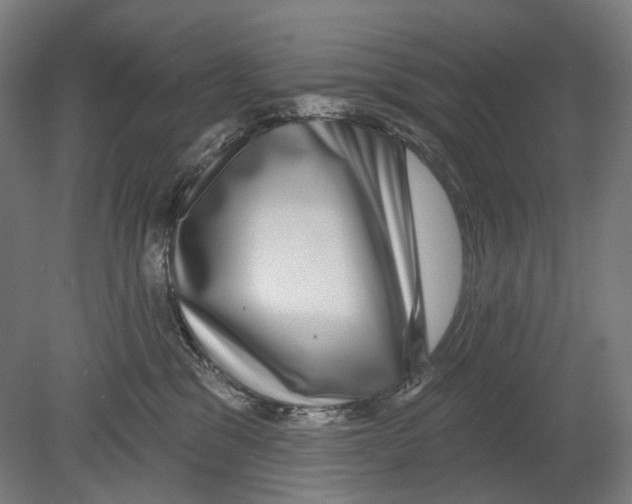 X0000080150329200701051546