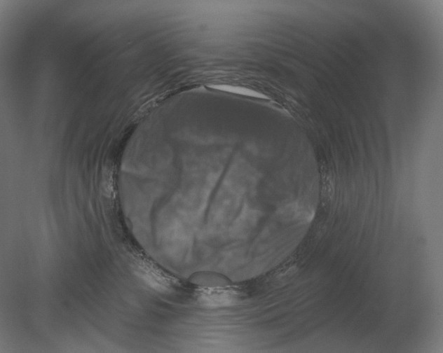 X0000080150331200701051546
