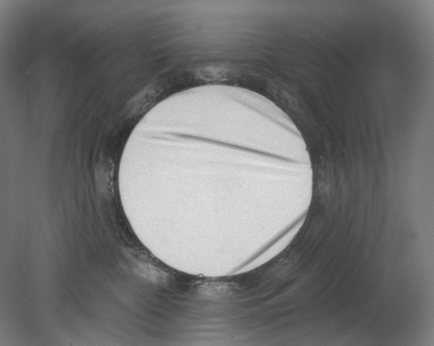 X0000080150332200701051546