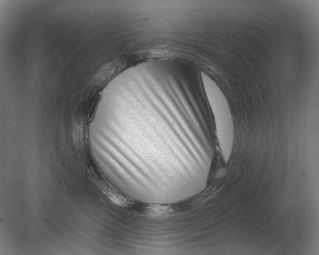 X0000080150333200701051546
