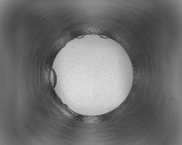 X0000080150334200701051546