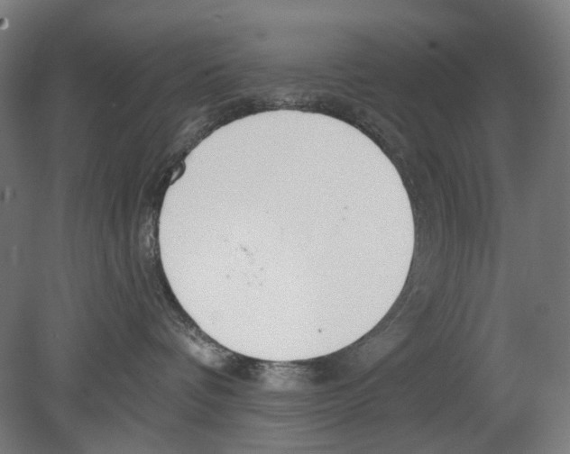 X0000080150336200701051546