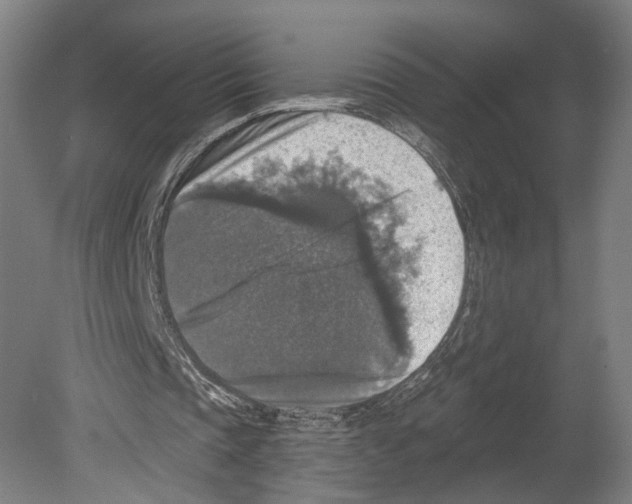 X0000080150337200701051545
